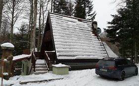 Koca Planika, Sviscaki