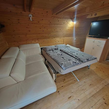Koca Planika, Sviscaki Villa Ilirska Bistrica Kültér fotó