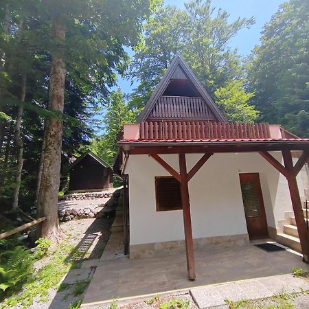 Koca Planika, Sviscaki Villa Ilirska Bistrica Kültér fotó