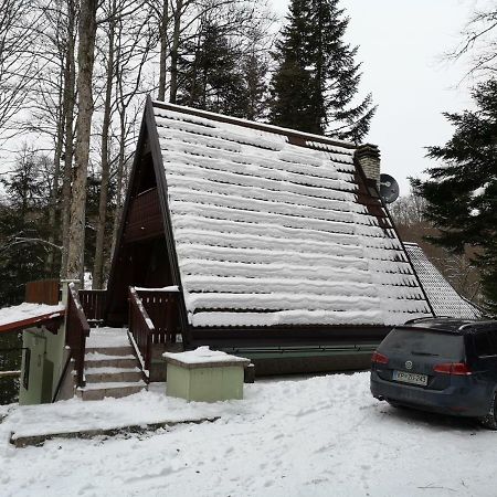 Koca Planika, Sviscaki Villa Ilirska Bistrica Kültér fotó