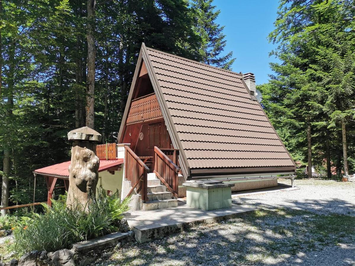 Koca Planika, Sviscaki Villa Ilirska Bistrica Kültér fotó