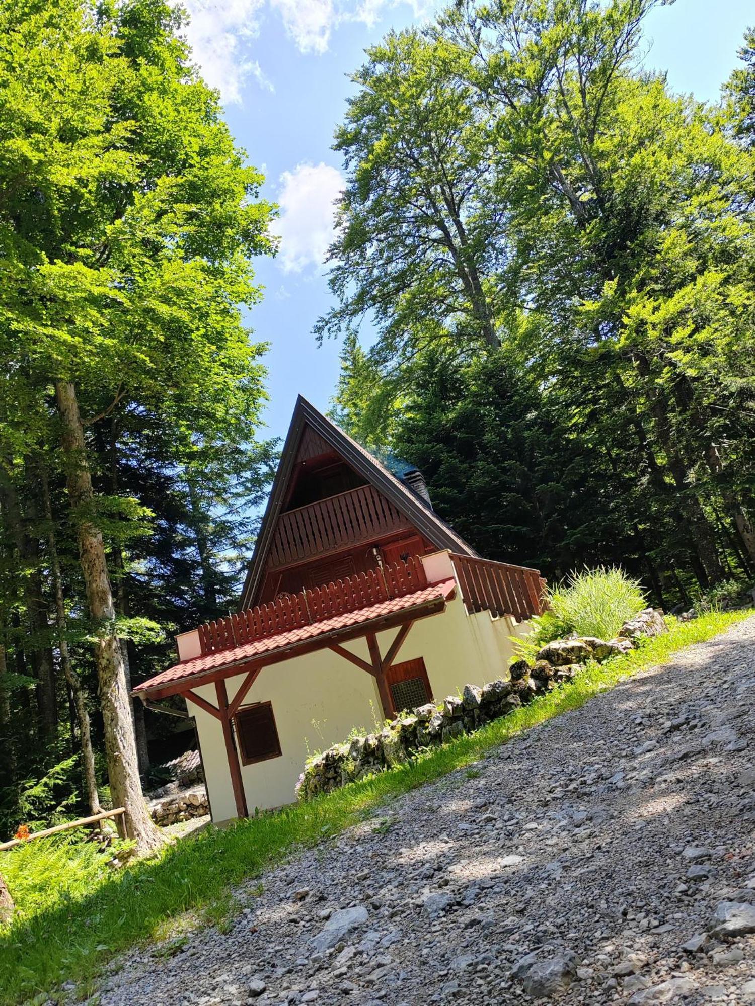 Koca Planika, Sviscaki Villa Ilirska Bistrica Kültér fotó