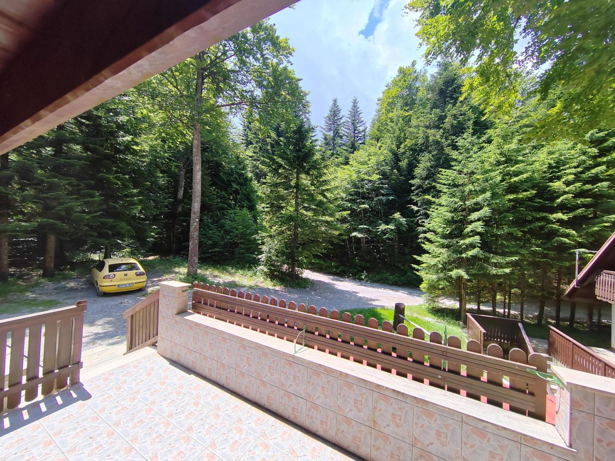 Koca Planika, Sviscaki Villa Ilirska Bistrica Kültér fotó