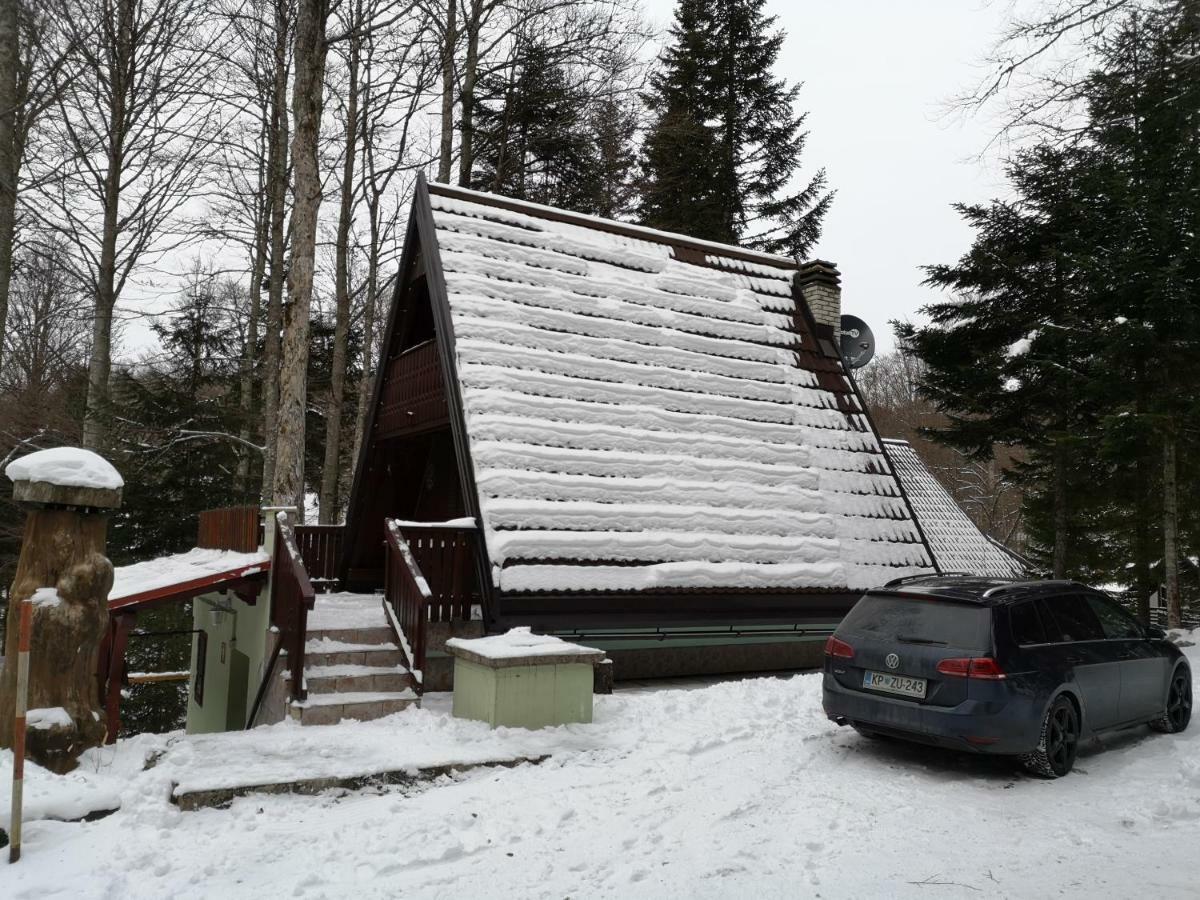 Koca Planika, Sviscaki Villa Ilirska Bistrica Kültér fotó